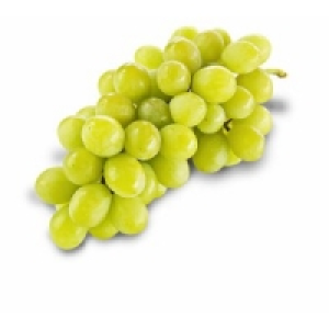 Trauben hell/blau 3.29&nbsp;&euro;
