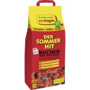Sommer-Hit Grillholzkohle 3 Kg