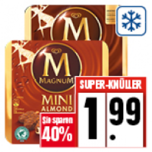 Magnum Eis 1.99&nbsp;&euro;