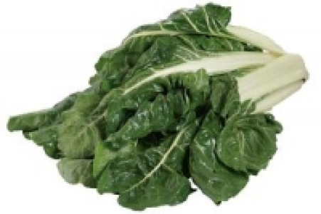 Mangold 3.79 €