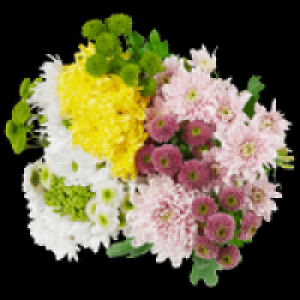 Chrysanthemenmix