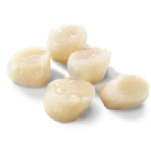 MSC Kammmuschelfleisch 24.99&nbsp;&euro;