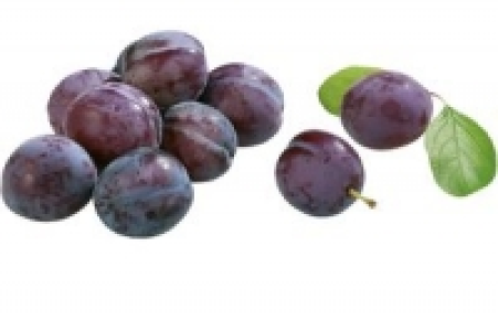 Zwetschgen 2.99 €