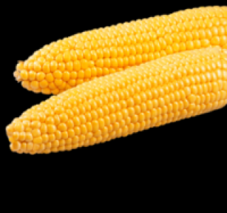Frischer Zuckermais 0.99&nbsp;&euro;