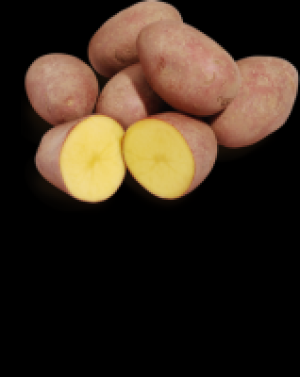 Rotschalige Kartoffeln Laura 1.47 €