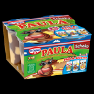 Dr. Oetker Paula Pudding oder Marmorette Split