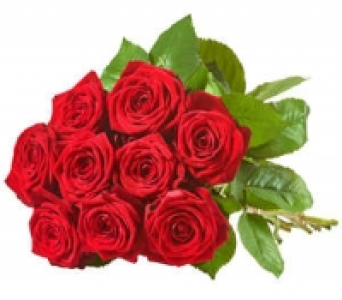 Premium Rosen 5.99 €