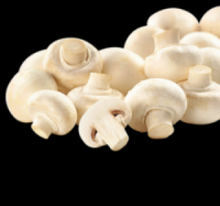 Weiße Champignons 0.99 €
