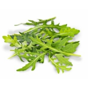 Rucola