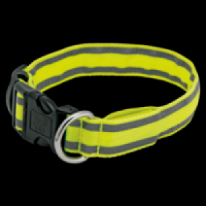 Rossmann Rossmann Ideenwelt LED-Hundehalsband, mini