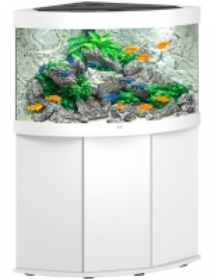 : Aquarien-Set Trigon 190 LED + SBX Trigon 190, BxTxH: 98,5x70x133 cm,