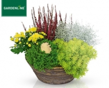 GARDENLINE®Bepflanztes Holzgefäß, Korb oder Schale