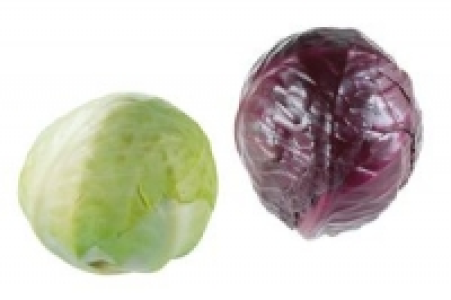 Wei&szlig;kohl oder Rotkohl 1.79&nbsp;&euro;