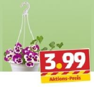 Blumenampel 3.99&nbsp;&euro;