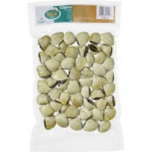Wei&szlig;e Venusmuscheln