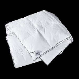 Luxus-Daunendecke 59.99 €