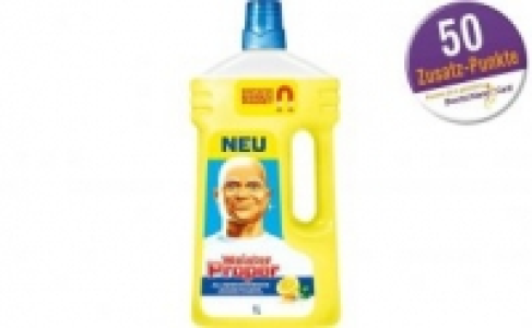 Meister Proper Reiniger 1.45 €