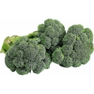 Broccoli