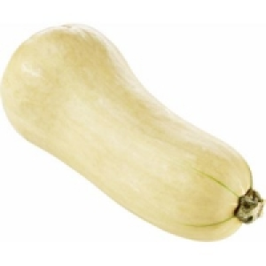 Speisek&uuml;rbis Butternut
