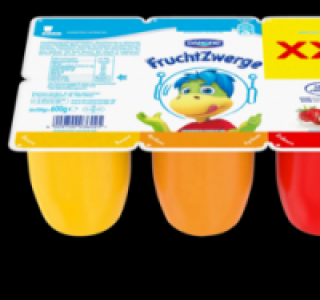 Penny  DANONE Fruchtzwerge XXL