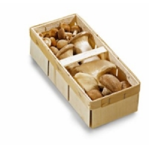 Kr&auml;uterseitlinge/Mischpilze