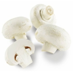 Champignons weiß