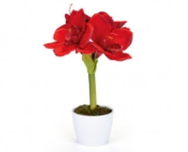 Weihnachtliche Textilpflanze