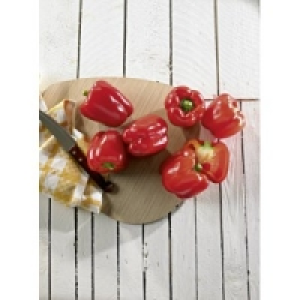 Paprika rot
