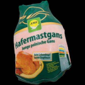 Polnische Hafermast-Gans