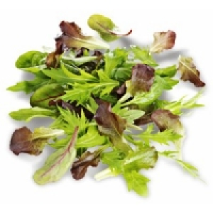 Küchenfertige Salate