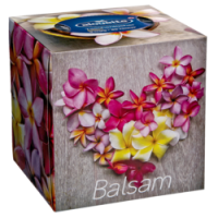 Rossmann Alouette Taschentücher-Box Balsam