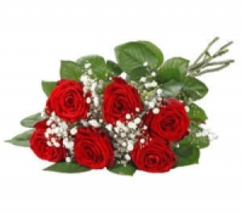 Premium Rosen 4.99 €
