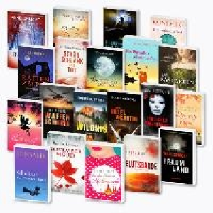 Taschenbuchroman 1.99 €