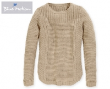 Blue Motion Pullover, oversized