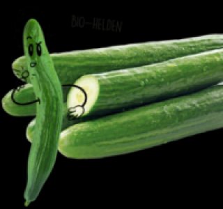 NATURGUT Bio-Gurke 0.69 €