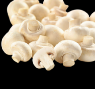 Weiße Champignons 1.15 €