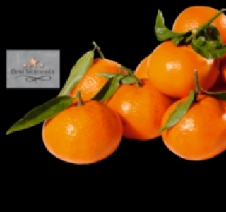 Best Moments Clementinen mit Blatt 1.49 €