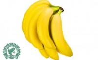 Netto  Bananen lose
