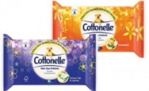 Cottonelle Feuchte Toilettent&uuml;cher 1.35&nbsp;&euro;