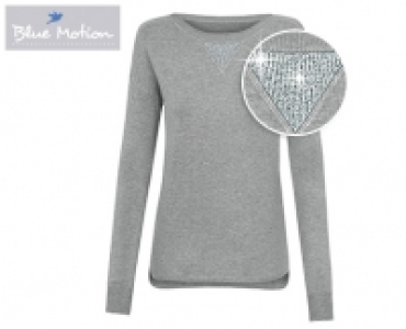 Blue Motion Feinstrickpullover 9.99 €