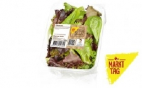 Pfl&uuml;cksalat 0.79&nbsp;&euro;