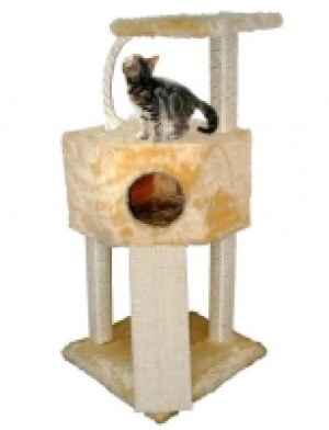 Kratzbaum Tom