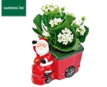 GARDENLINE®Bepflanzte Weihnachtskeramik 2.99 €
