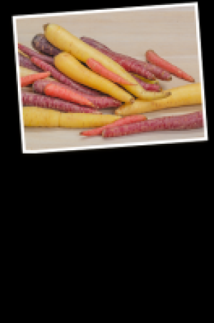 Bunte Karotten 1.67 €