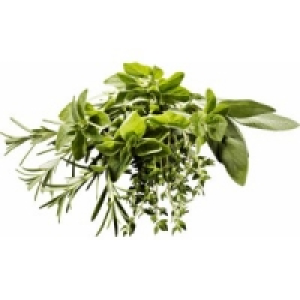 Frische Kr&auml;uter