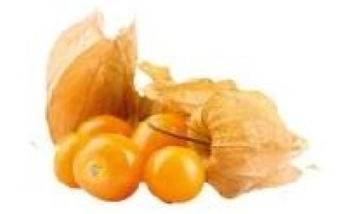 Physalis 0.88&nbsp;&euro;