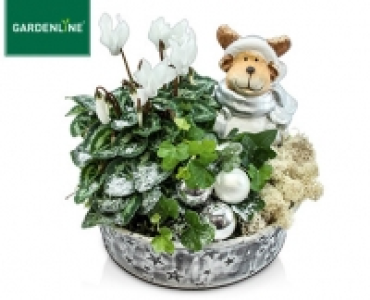 GARDENLINE®Pflanzenschale Winter 7.99 €