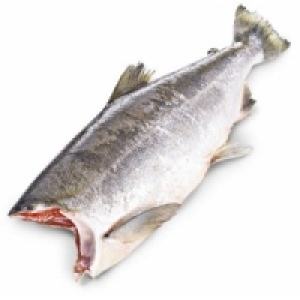 MSC Sockeye Wildlachs