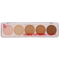 Rossmann Rdel Young Cover < Contouring Palette