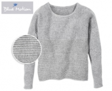 Blue Motion Rippenpullover